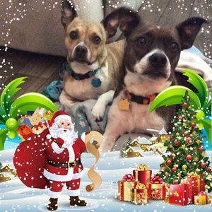 Meet your Posher, Vickie